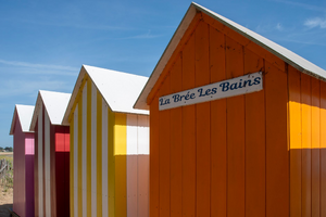 Traitement punaises de lit Le Plessis-Trévise